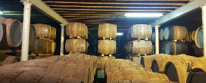 Springbank CAmpbeltown warehouse private tour