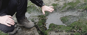 Dinosaur footprints Staffin beach Skye