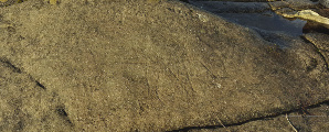 Pictish Boar Dunadd Hillfort